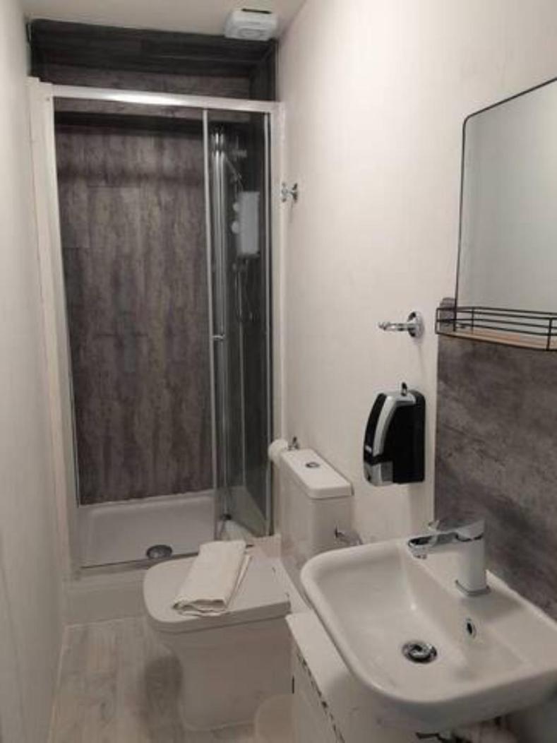 Ensuite Near Singleton Hospital, 8 * Sketty